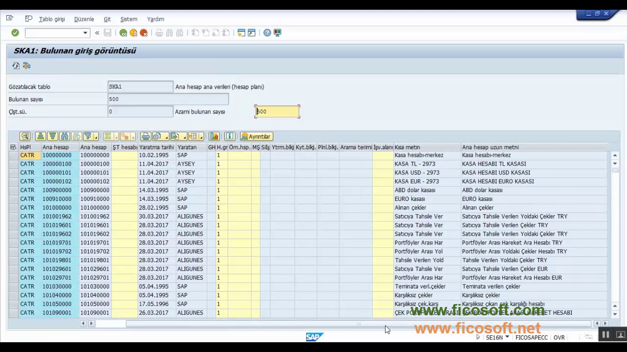 SAP Tcode SE16N Genel Tablo G&ouml;r&uuml;nt&uuml;s&uuml; ,SAP Eğitimi