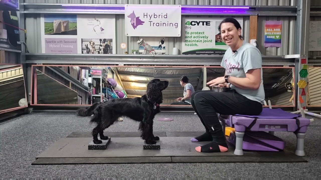 Isometric Canine Core Strength