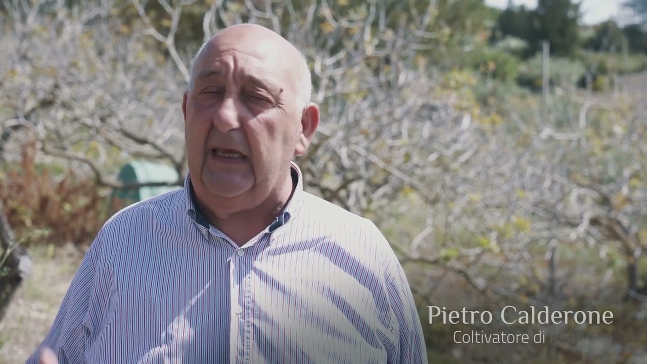 Il pistacchio di San Biagio Platani