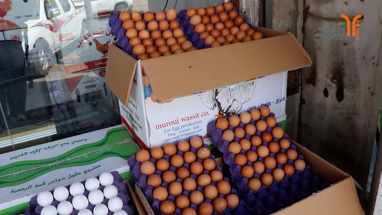 في البصرة .. البيض على الوزن وسعره (4 بألف) و (5 بألف) #المربد