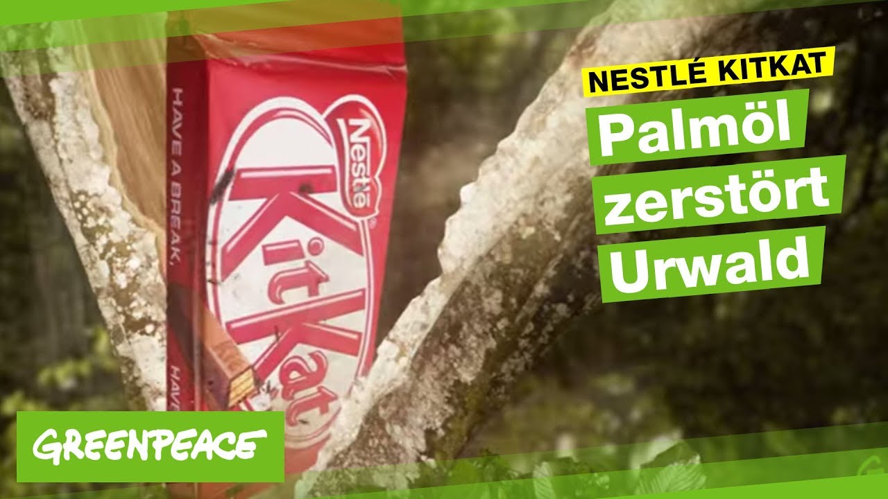 Nestlé, Palmöl und Orang-Utans: Der bittere Preis für Schokoriegel
