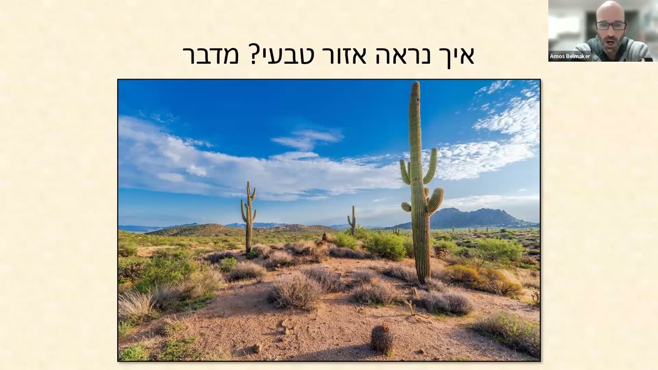 ציפורים בעיר - ד