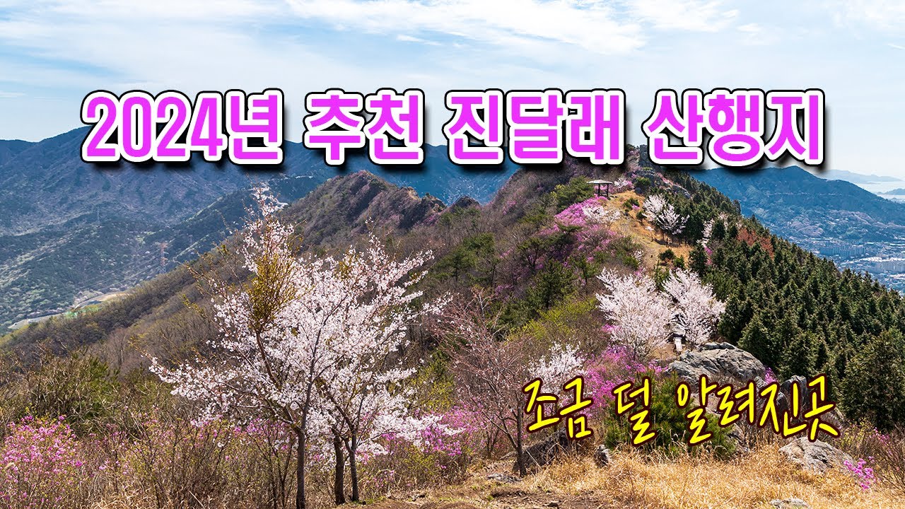 3월4월 진달래 산행지 추천/덜 알려진곳/ 암릉과 진달래의 조화#영암산 #영축산 #장복산 #호구산 #마복산 #무학산 #대금산