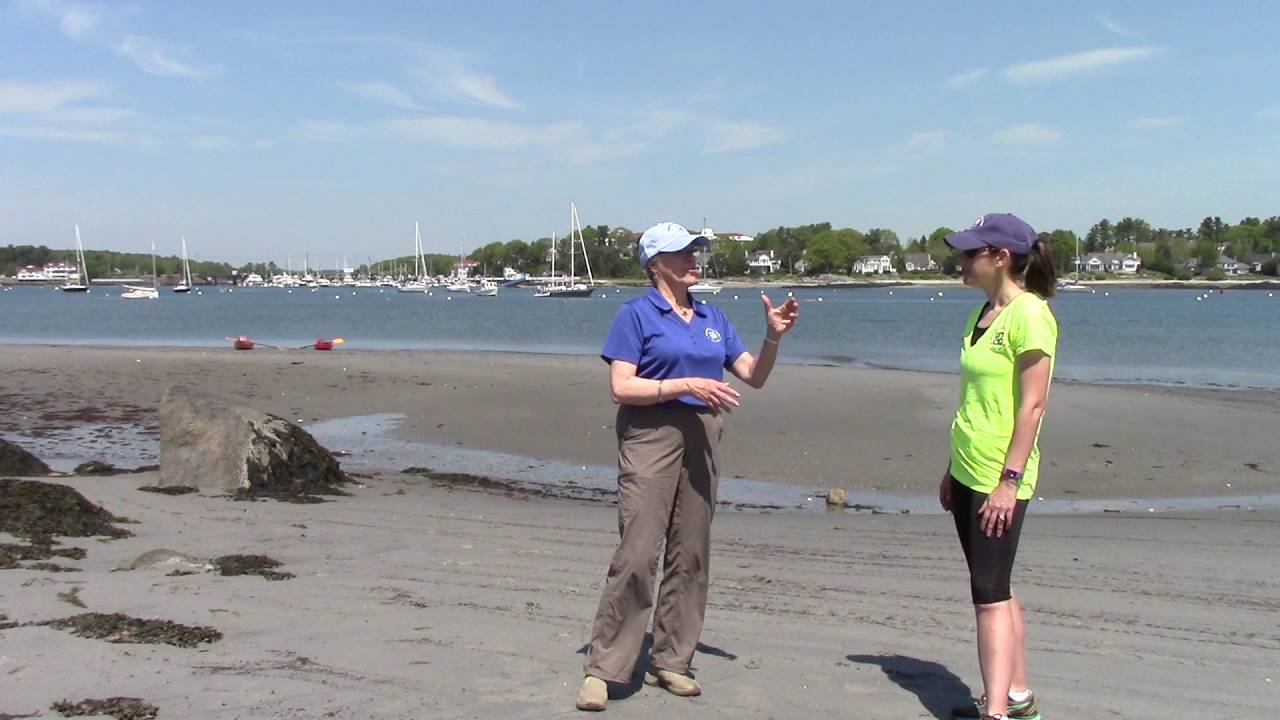 #OceanRunnerNH: A Plan for the Ocean?