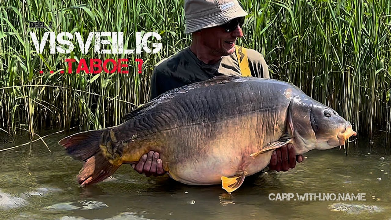 Karpervissen op rivier en kanaal: Visveilig...taboe? Deel 2