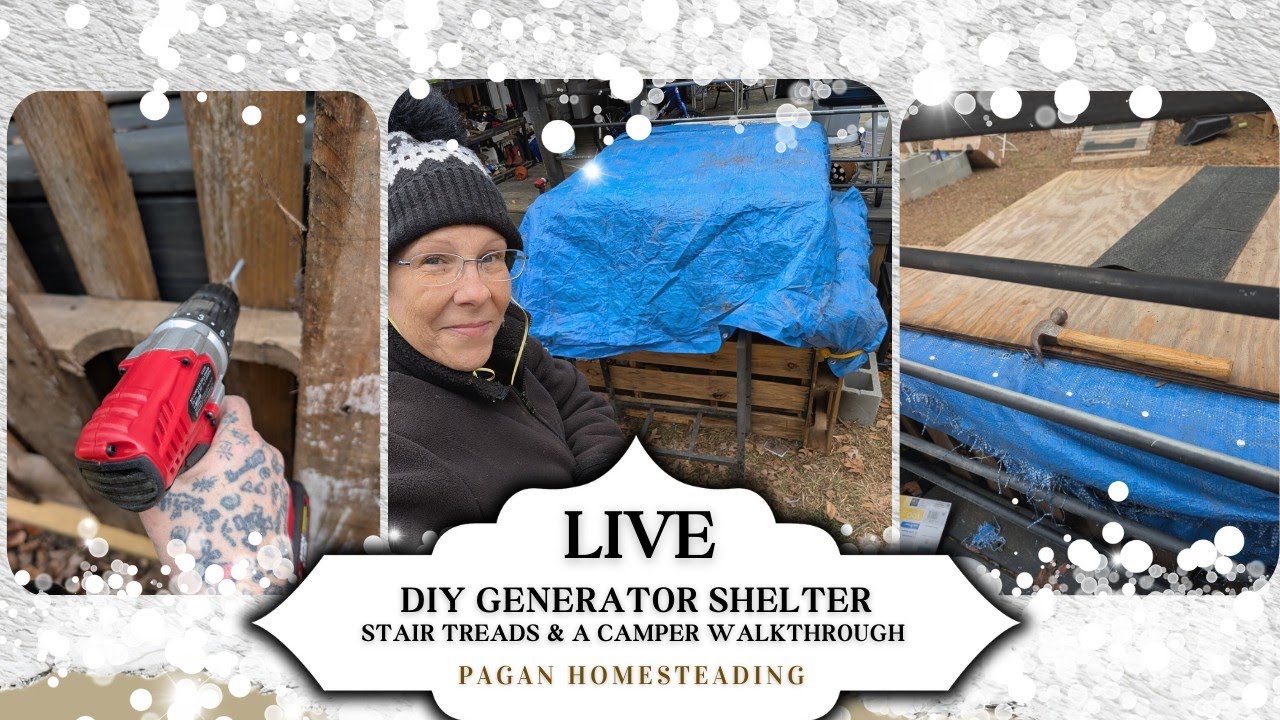 LIVE! ✅ DIY GENERATOR SHELTER,  HACKS & MORE 🔨❄️ 