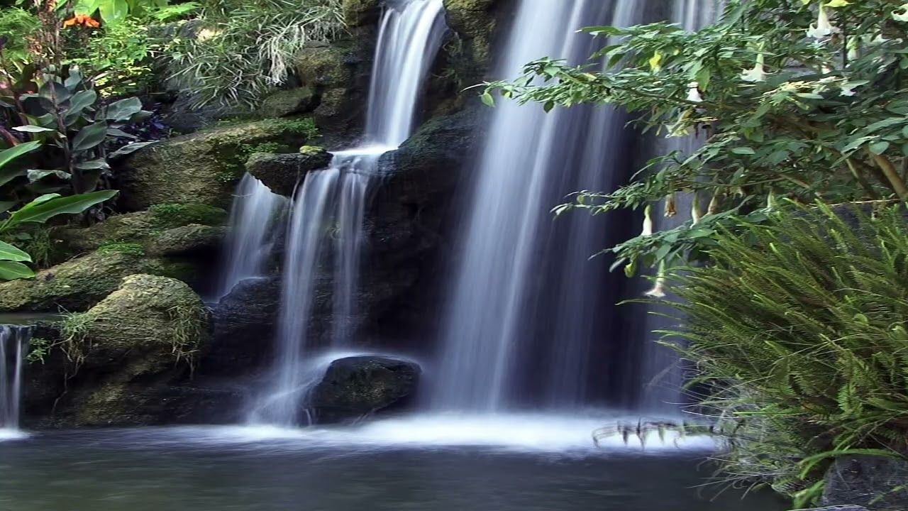 How&rsquo;s Your Soul? 