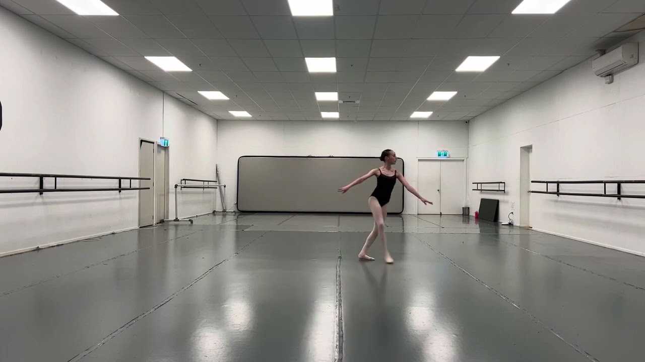 Alvin Ailey - Audition 2024