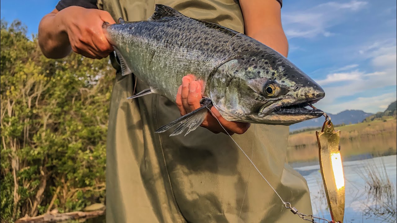 Días de pesca en el lago | Lago Ranco | Sur de Chile | Video Corto