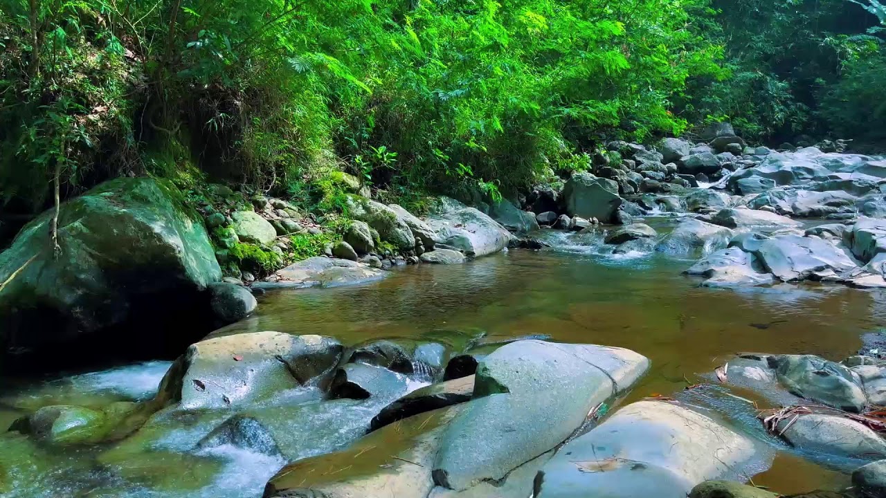 Peaceful River Flowing Sound | Gentle River, Relaxing Nature Sounds | White Noise for Sleep, Study