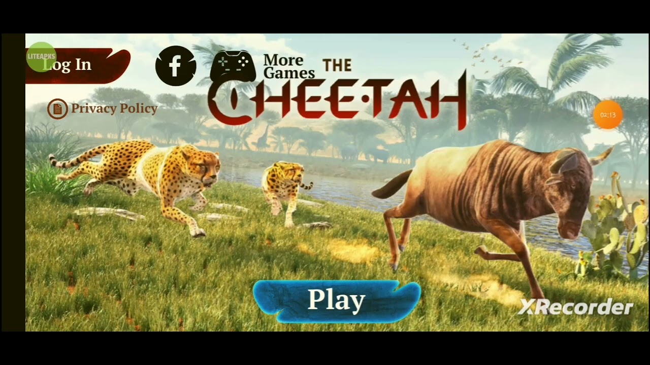 hack the cheetah 100k hp 2 account :3 || The Cheetah 🐆 || Hacker 2010 ||
