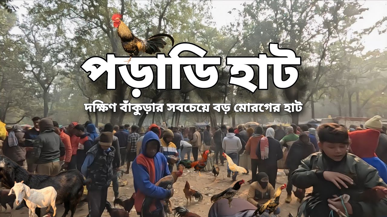 2026 সালের প্রথম হাট || পড়াডি হাট || Poradhi market || সম্পূর্ণ বিবরণ, সাথে @achenaporshi 