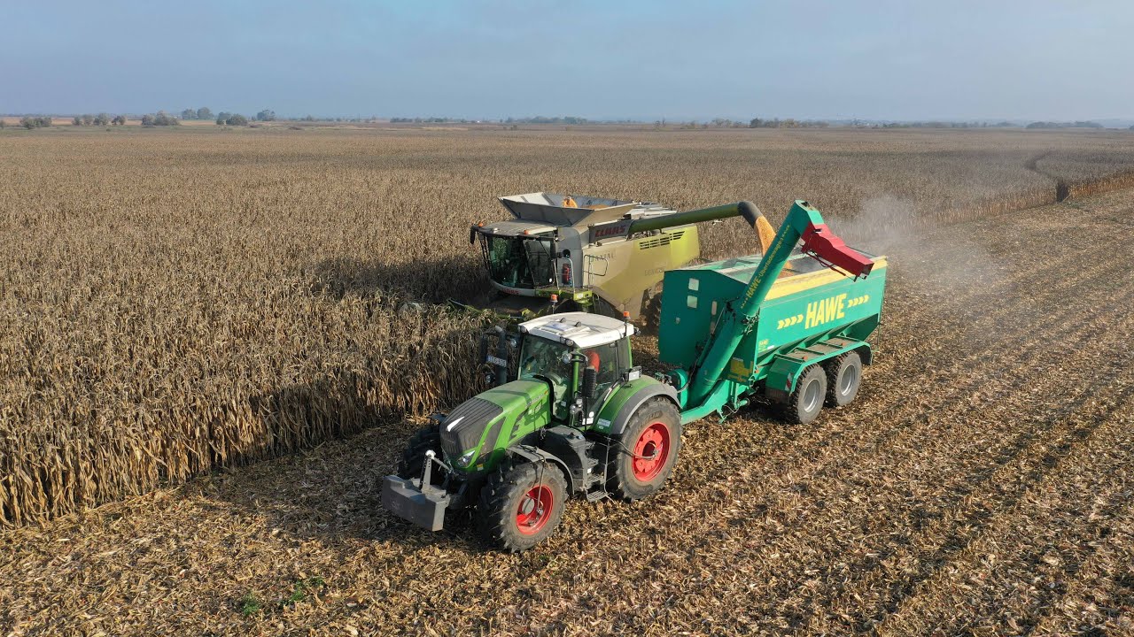 Totya Farm-Kukorica aratás 2022:CLAAS LEXION 660+CORIO 875FC, MEGA360+Conspeed 6-75FC,FENDT 828+Hawe