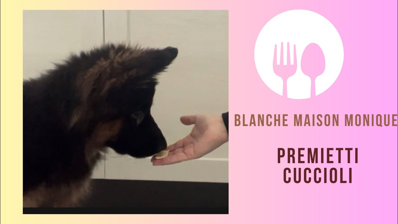 Premietti fai da te per cuccioli con dissenteria 
