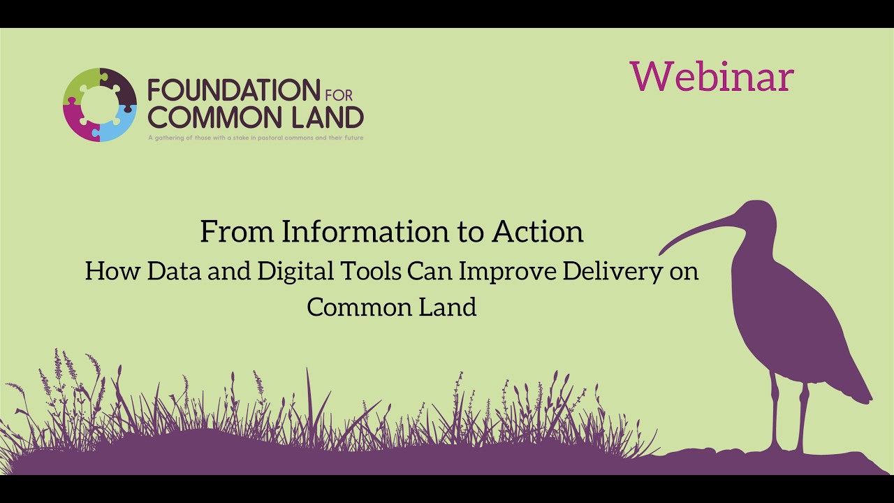 GMT20260217 193117 Recording 1920x1080