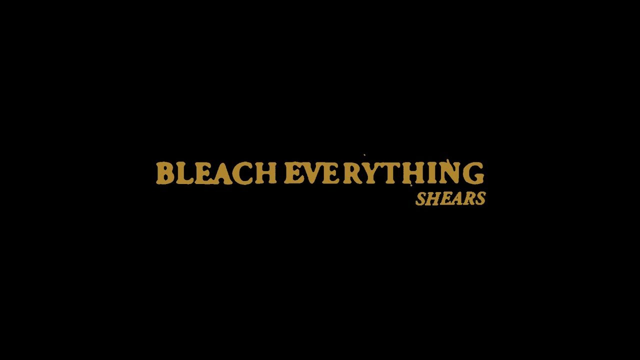 BLEACH EVERYTHING 