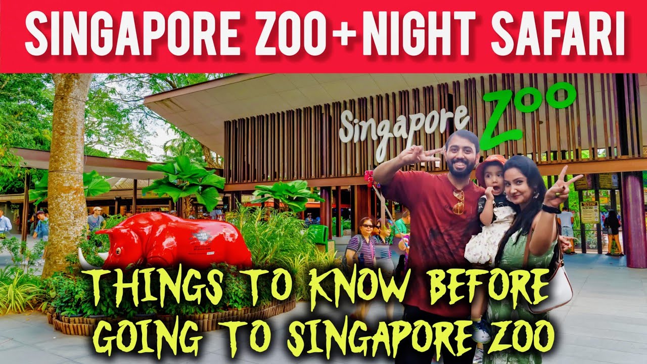 Singapore Zoo + Night Safari 2025 | Complete Guide ,Tickets, Food, & Tips | Secrets You MUST Know