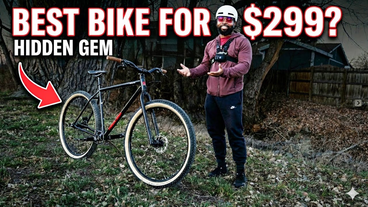 NOTHING Under $300 Comes Close to This Bike