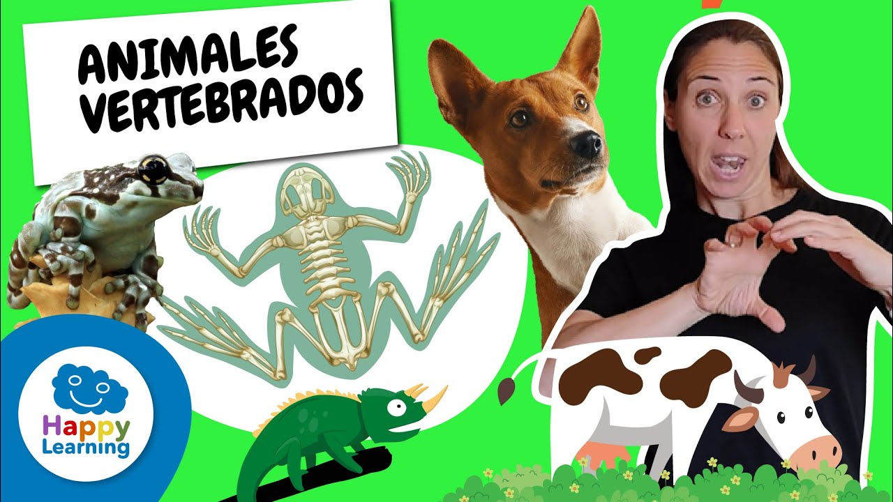 ANIMALES VERTEBRADOS para Niños 🦁📚 | Con Lengua de Signos  | @HappyLearningES