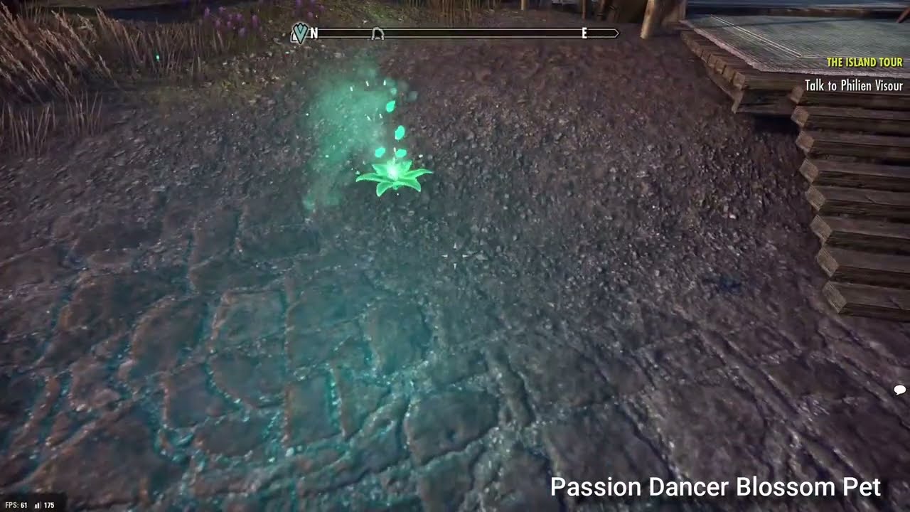 PTS 8.2.2 - Claw-Dance Acolyte Outfit Style, Passion's Muse Personality and Pet, Chat Narration