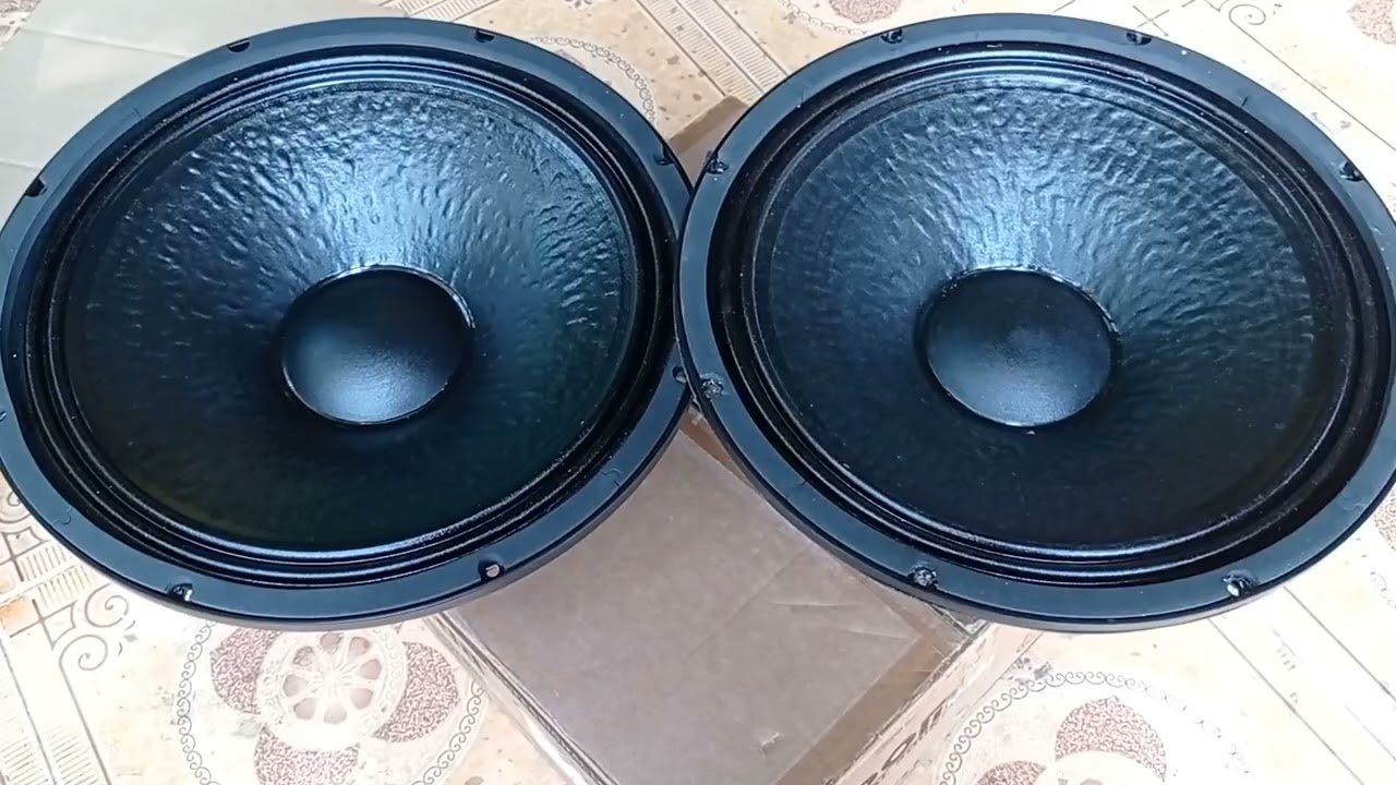 Review speaker wisdom 1572, cocok untuk #sub15inch #subwofer #soundminiatur