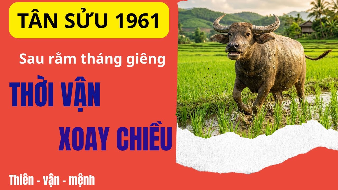 VẬN MỆNH THAY ĐỔI CON GIÁP TÂN SỬU 1961 SAU RẰM THÁNG GIÊNG VẬN MAY ẬP ĐẾN ĐÚNG THỜI ĐIỂM NÀY!