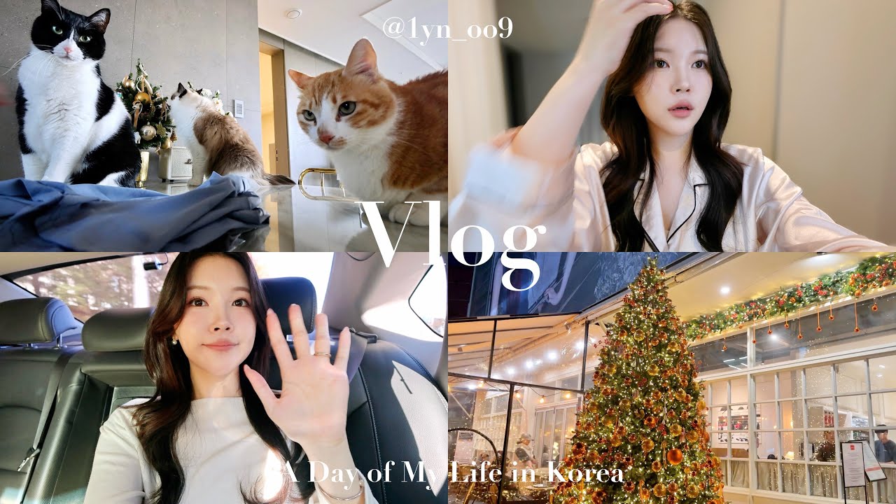 Korea Vlog🎄｜韓国生活の裏側！日本人YouTuberのリアルすぎる1日に密着🎥