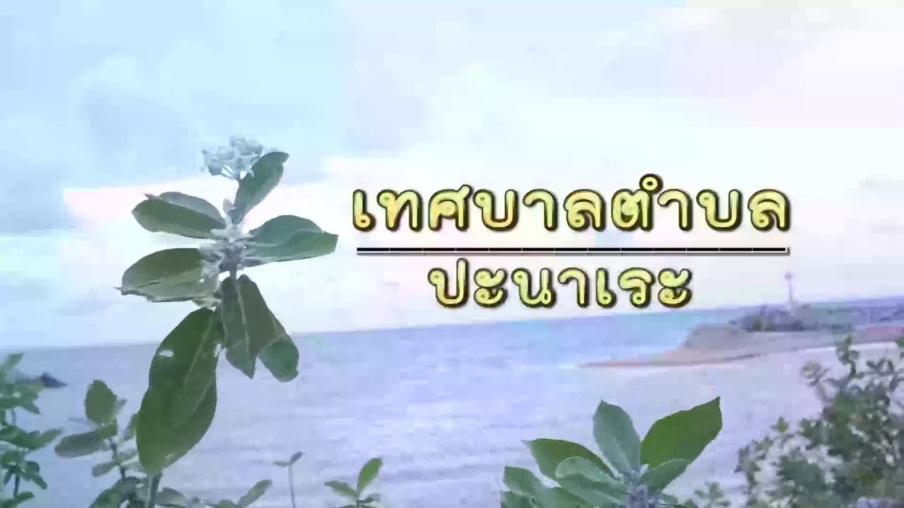 วีดิทัศน์ ตำบลปะนาเระ อำเภอปะนาเระ จังหวัดปัตตานี