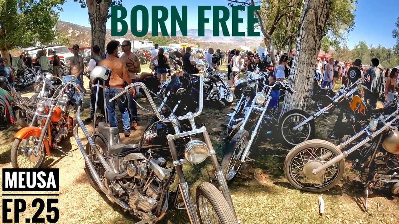 BORN FREE MOTORCYCLE SHOW 13 California USA