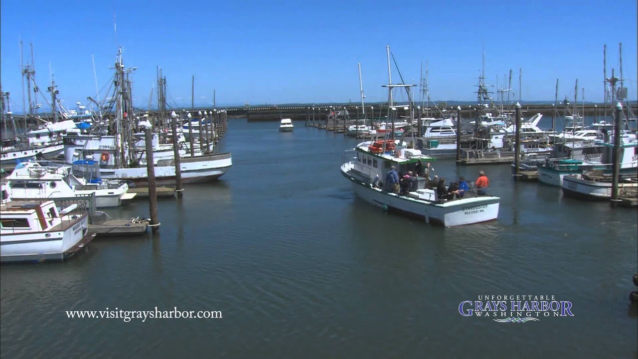 Unforgettable Grays Harbor County - Life in Grays Harbor County
