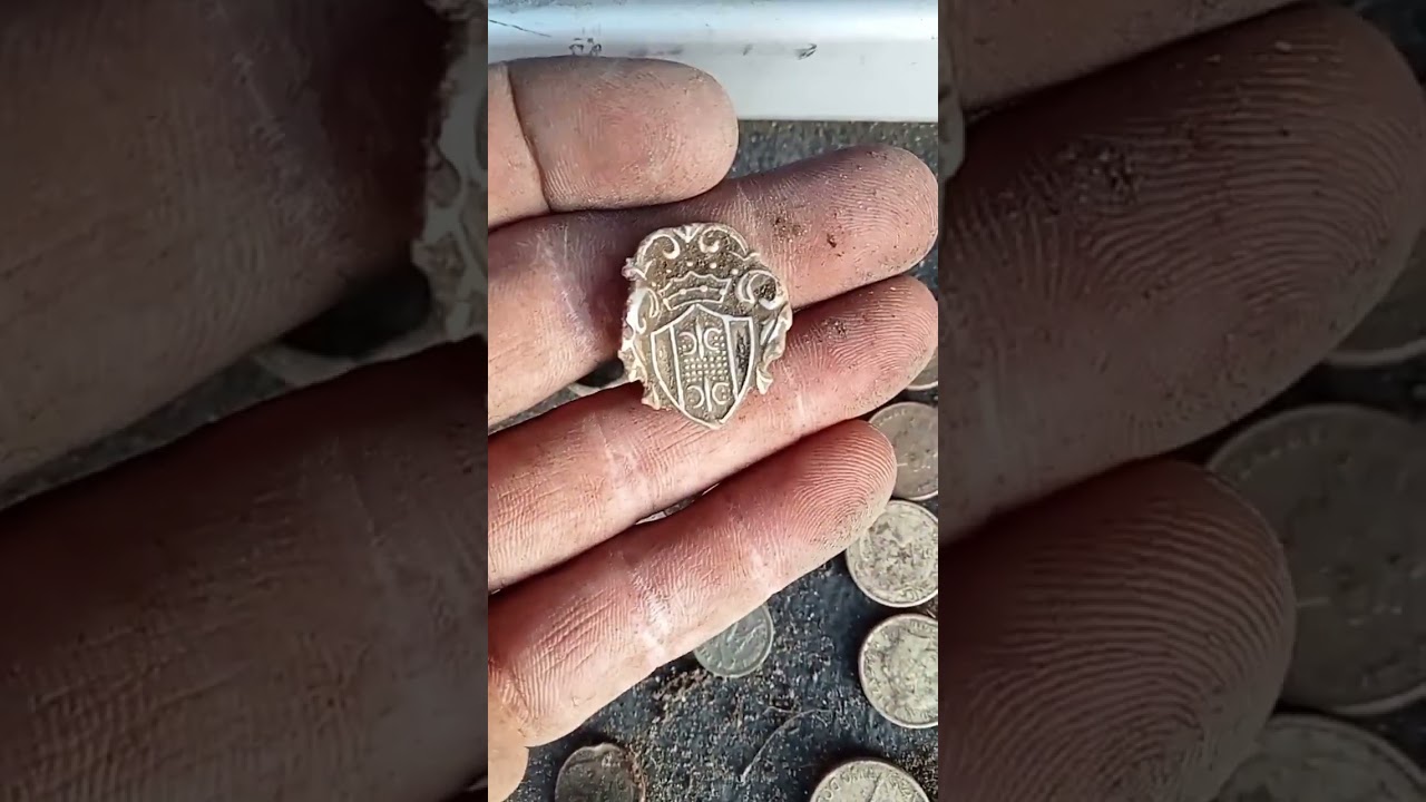 COINS EVERYWHERE! nice little hunt at an old school permission#newzealand#coolfinds