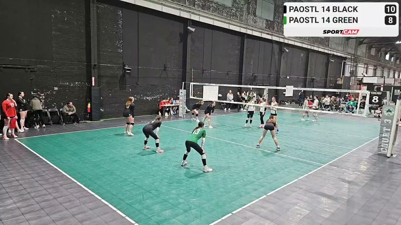 PAOSTL 14 BLACK VS PAOSTL 14 GREEN