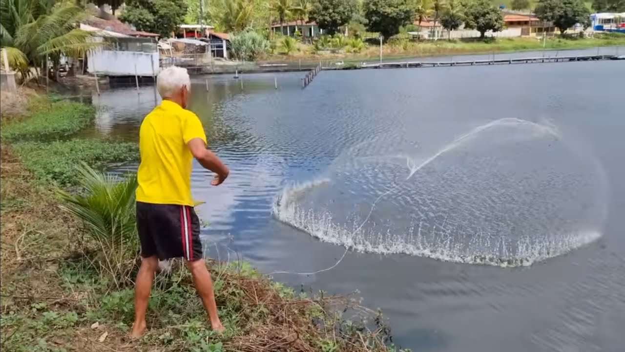 OS TUCUNARES INVADIRAM A LAGOA HOJE FOI A PESCA DO TUCUNARE 
