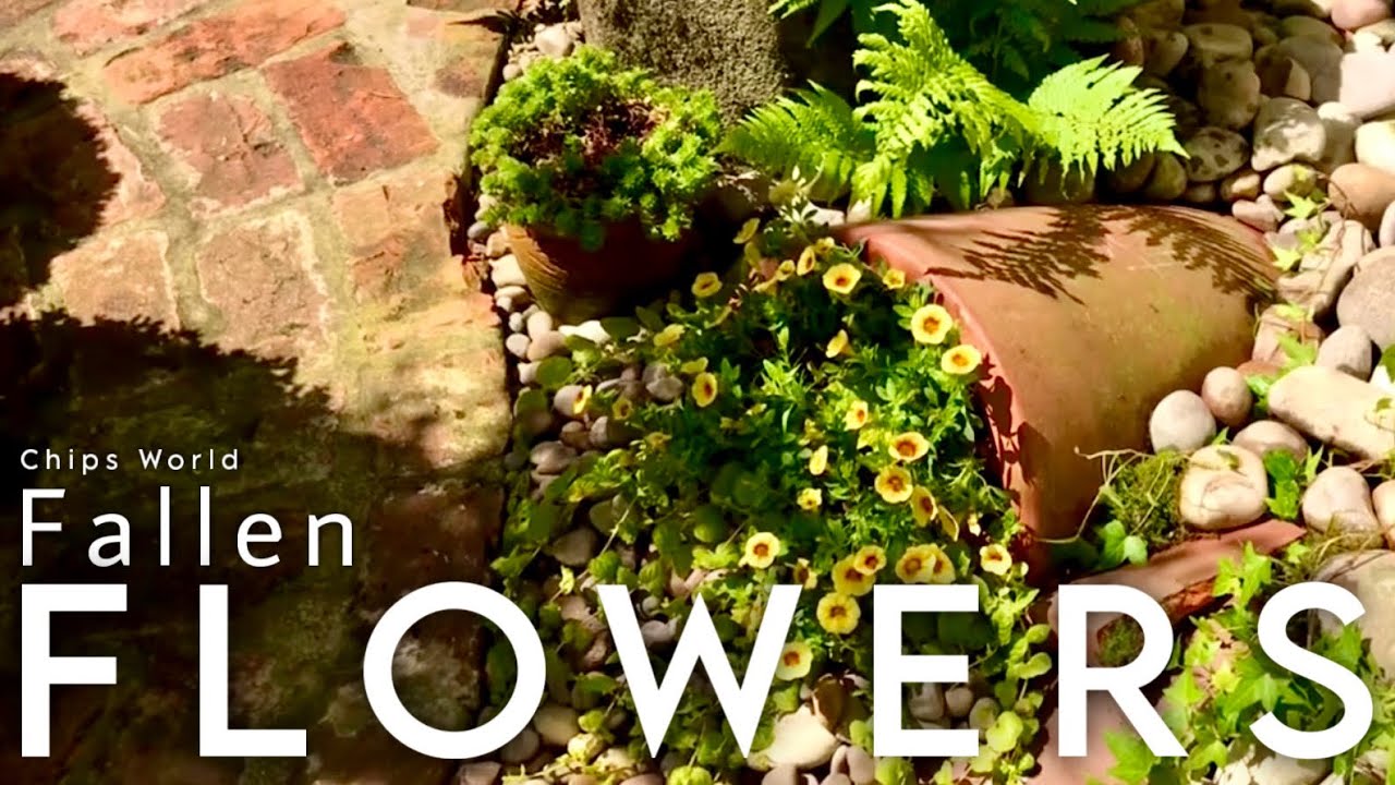 Spilled Flowers Broken pot #spilledflowers #spilledflowerpot