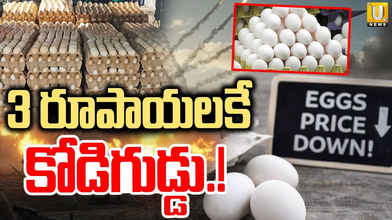 3 రూపాయలకే కోడిగుడ్డు.! | Egg Prices Drop As Iran–Israel–US War Effect | ITS UTV News