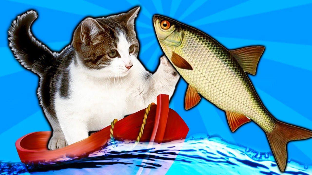 КОТЕНОК РЫБОЛОВ симулятор кошачьей рыбалки видео про маленького котенка как мультик игра для детей