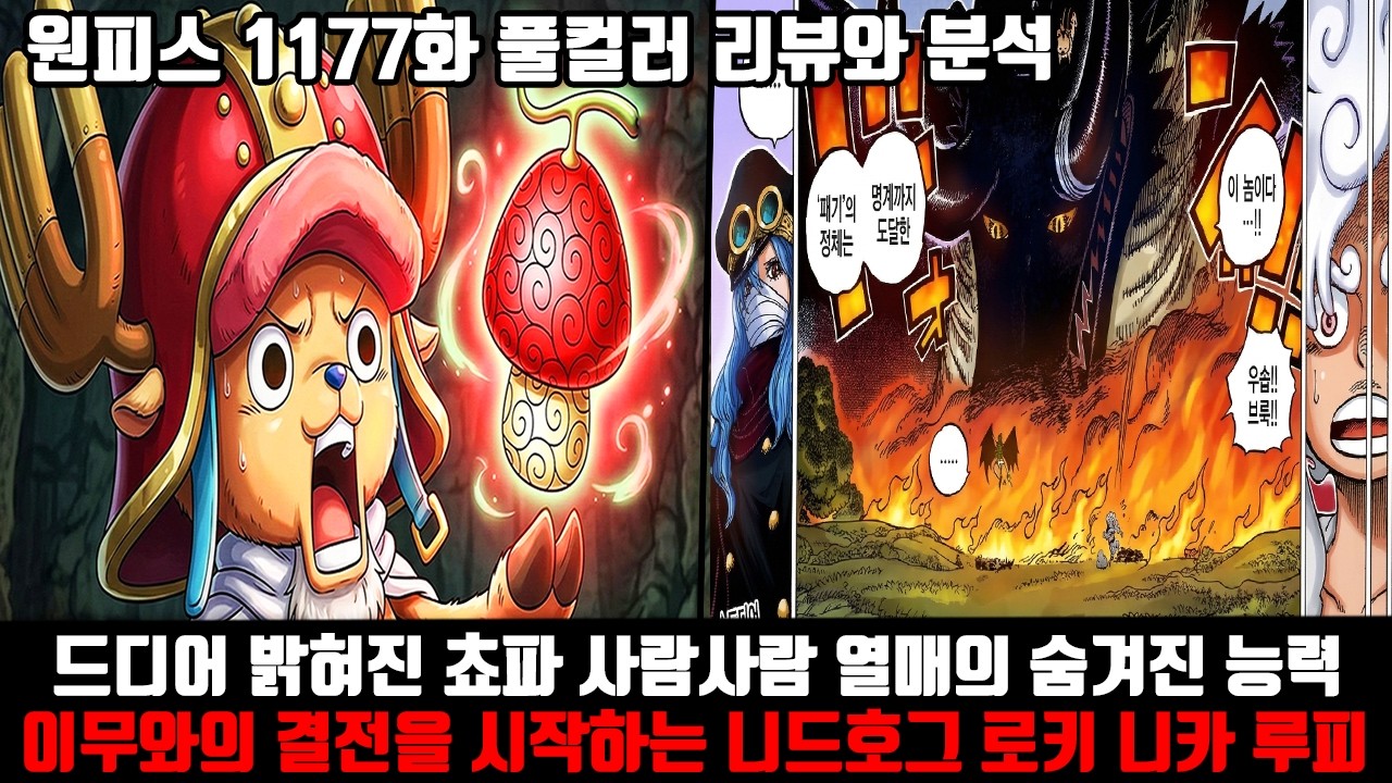 [원피스 1177화 풀컬러 리뷰와 분석] 드디어 밝혀진 쵸파 사람사람 열매의 숨겨진 능력 이무와의 결전을 시작하는 니드호그 로키 니카 루피