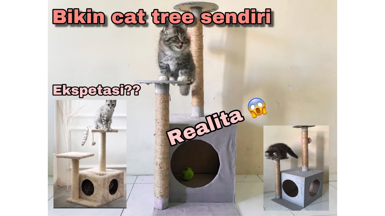 MEMBUAT CAT TREE SENDIRI DIRUMAH (CAKARAN KUCING) DIY