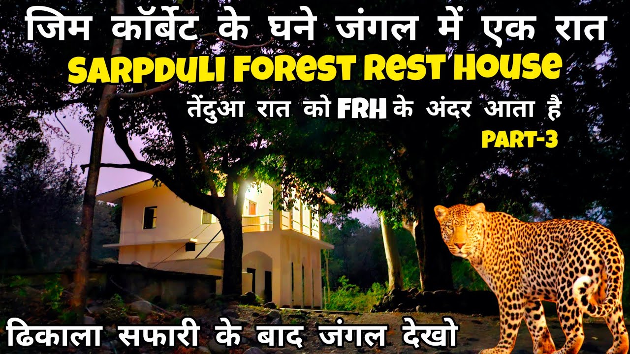 Jim Corbett के कोर जंगल में एक रात | Sarpduli Forest Rest House | Dhikala सफारी के बाद का जंगल देखो