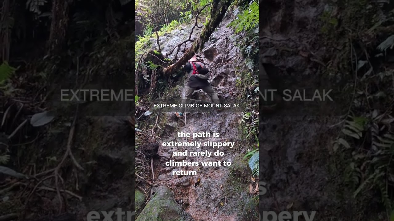 ЭКСТРЕМАЛЬНОЕ ВОСХОЖДЕНИЕ НА ГОРУ САЛАК #shortsvideo #travel #hiking #youtubeshorts #adventurelife