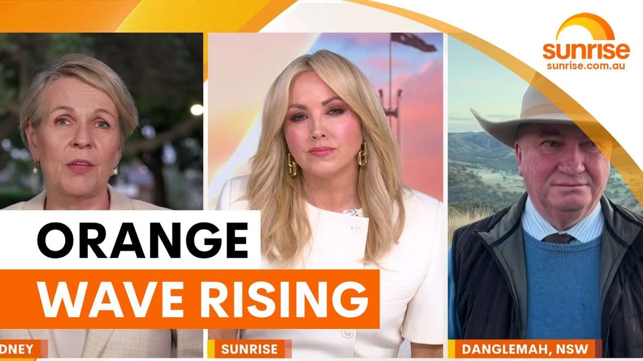 Pauline Hanson overtakes Albanese as preferred PM | Sunrise