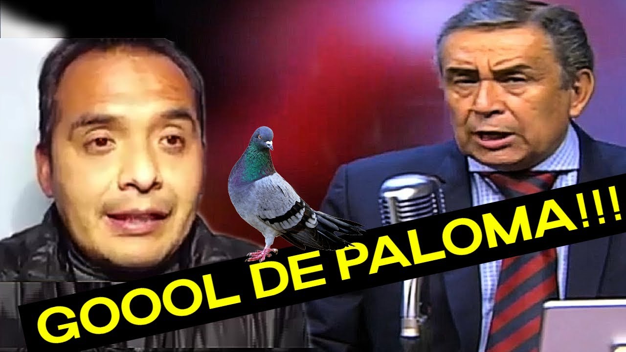 TROLEOS Y BLOOPERS JUAN PASTEN 2021
