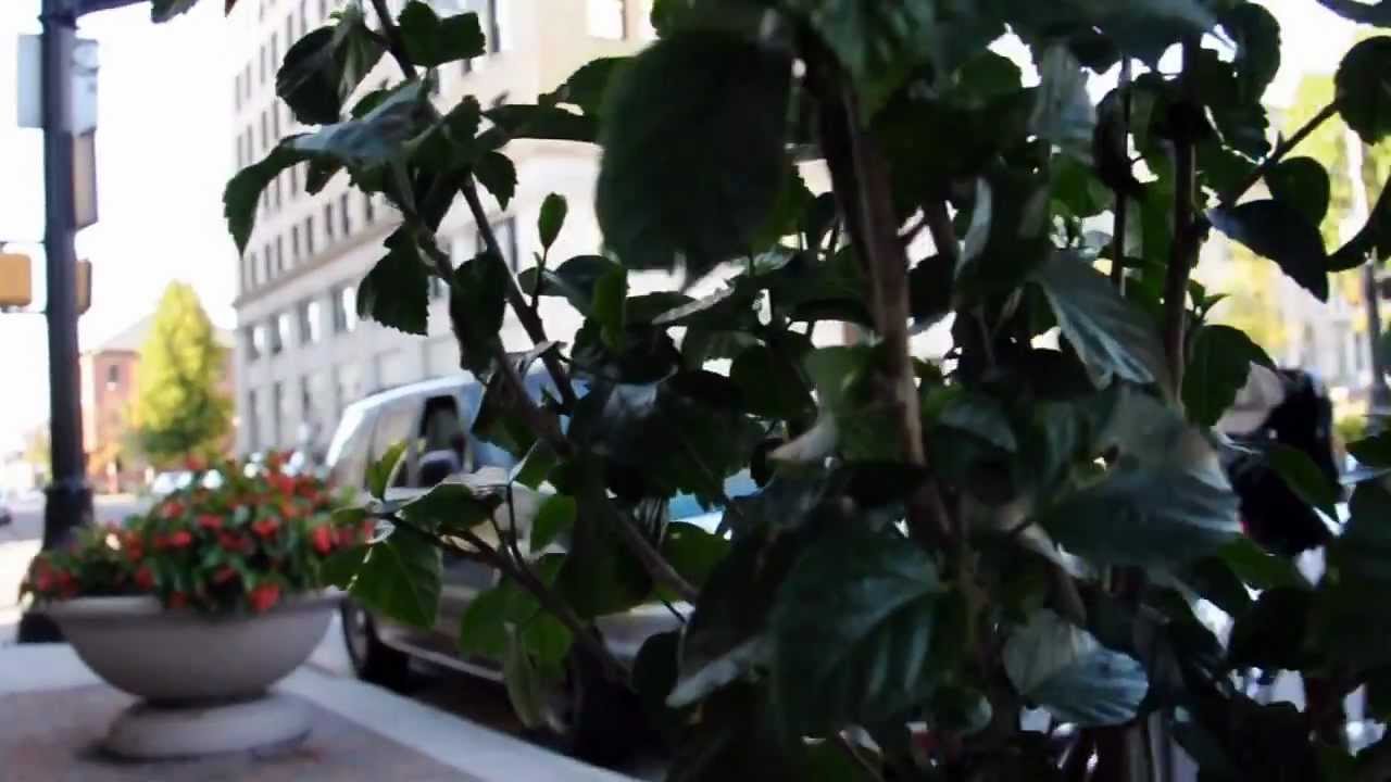 Groovehacker - Into The Void