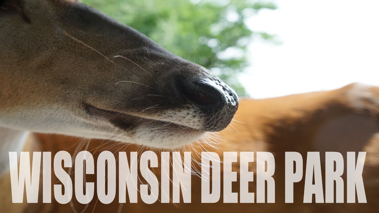 Wisconsin Deer Park
