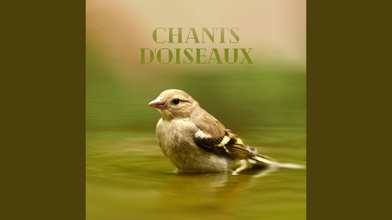 Chants du matin