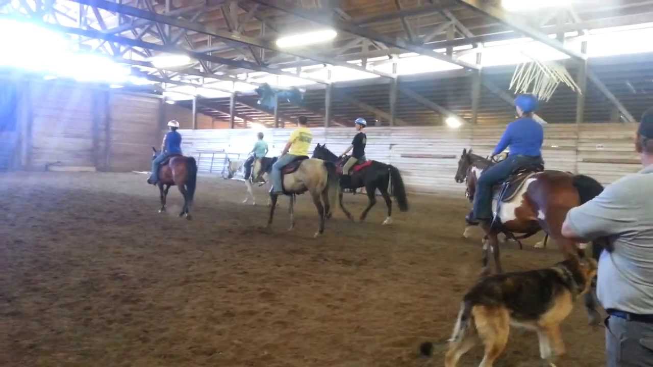 Working on tactical/drill day one