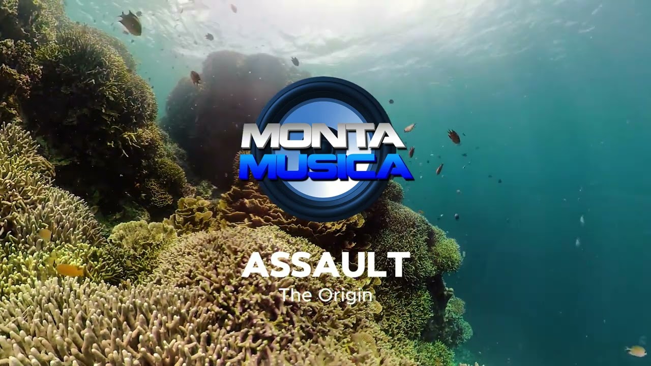 Assault - The Origin