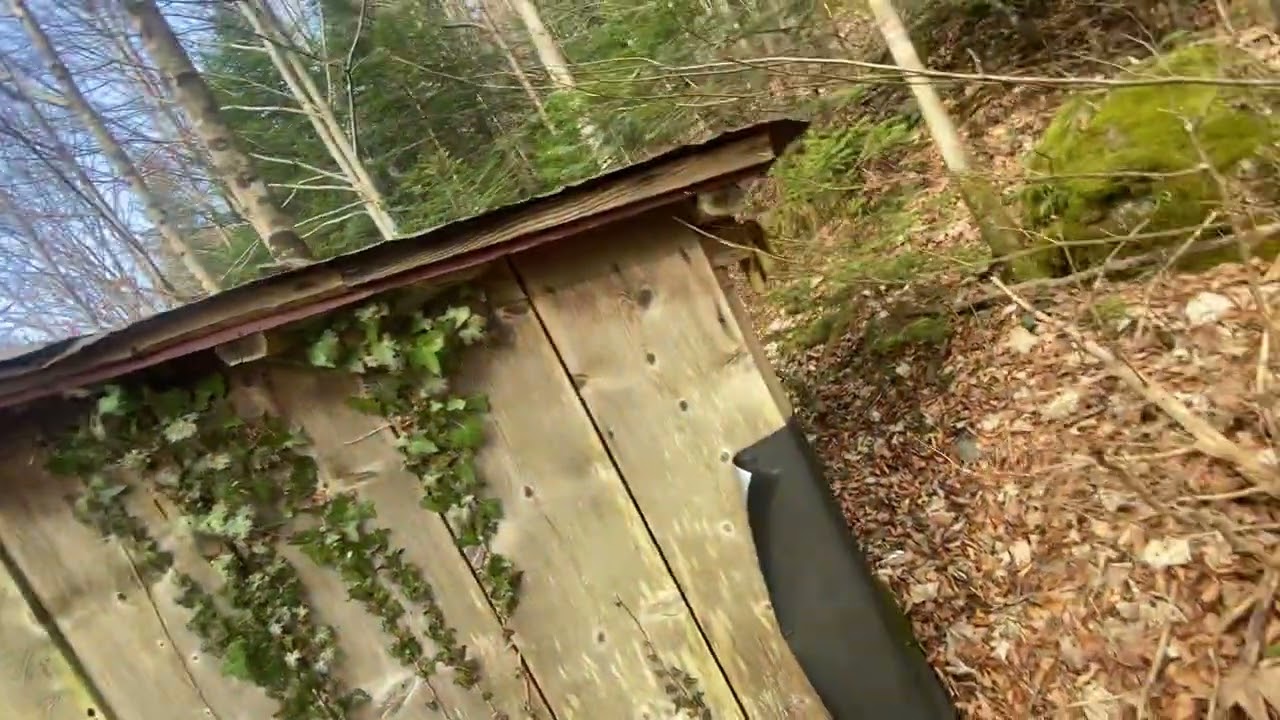 Barake im Wald Teil 124