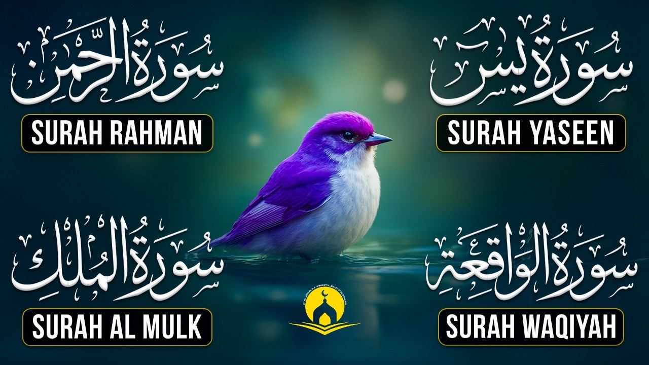 Very Nice Voice Surah Yaseen | Surah Rahman | Surah Waqiah | Surah Mulk l Reciter Ashraf Hussain 122