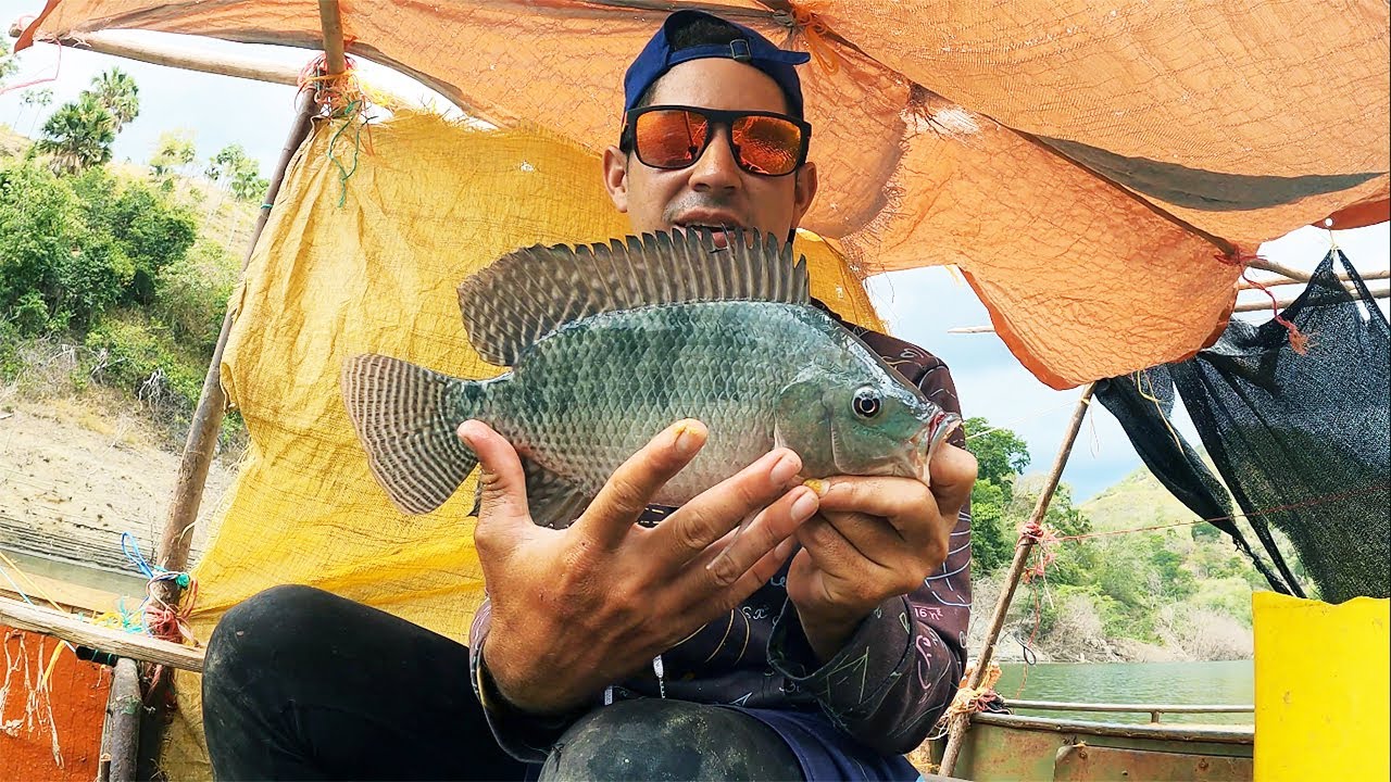 Empecé pescando lobinas… y terminé atrapando TILAPIAS GIGANTES